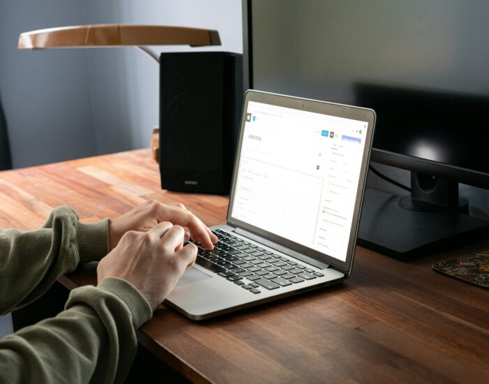 wordpress developers