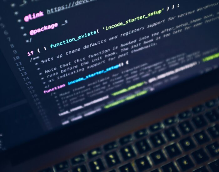wordpress development
